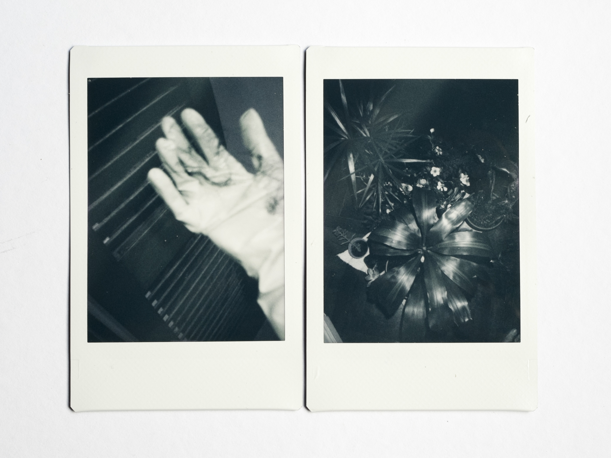 Photographer Uses Instant Images To Make Sense Of Life In Isolation